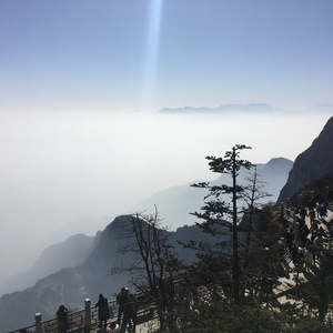 国产精品无码无套
